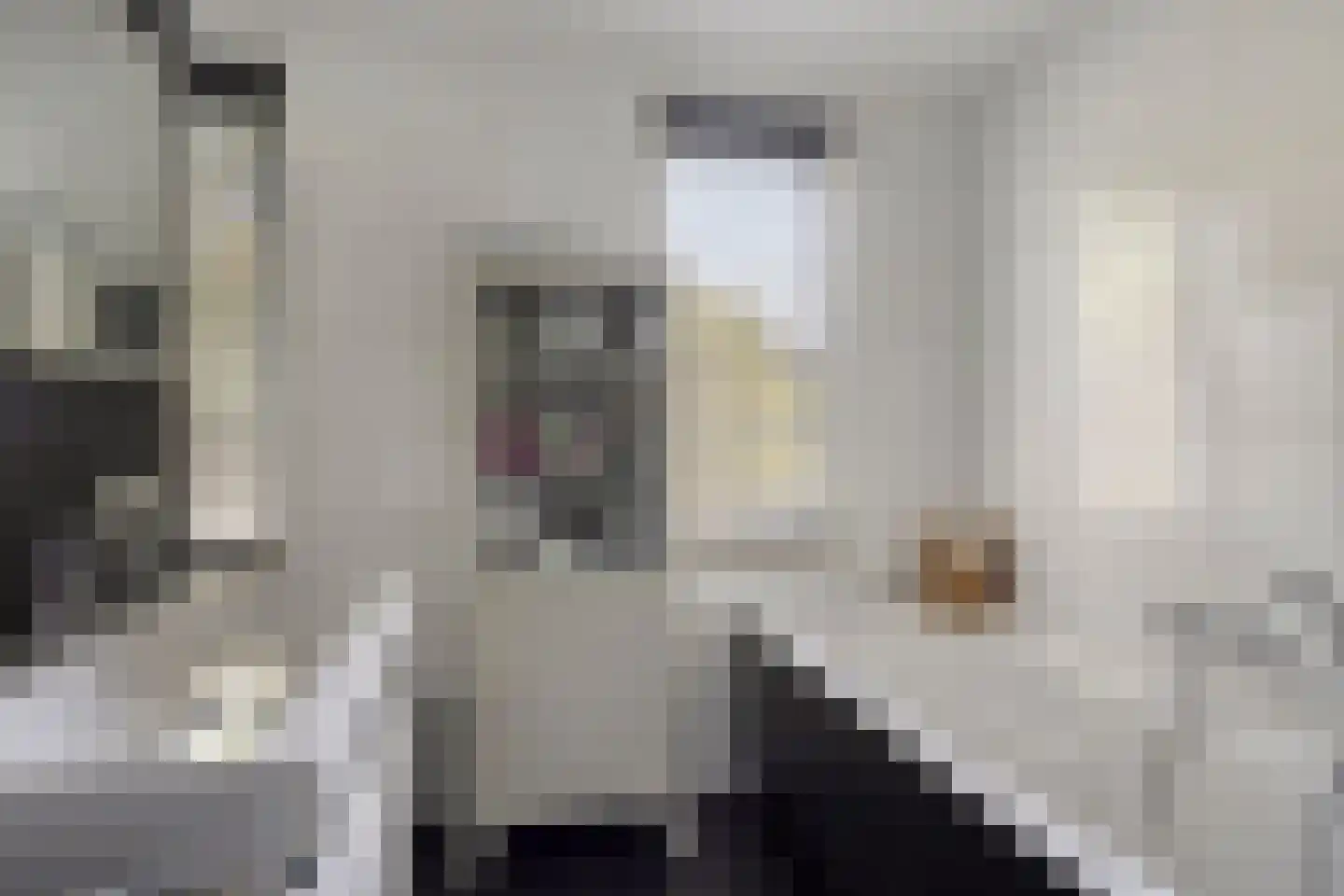 Kalverlaan 12 Rekken thumbnail 36