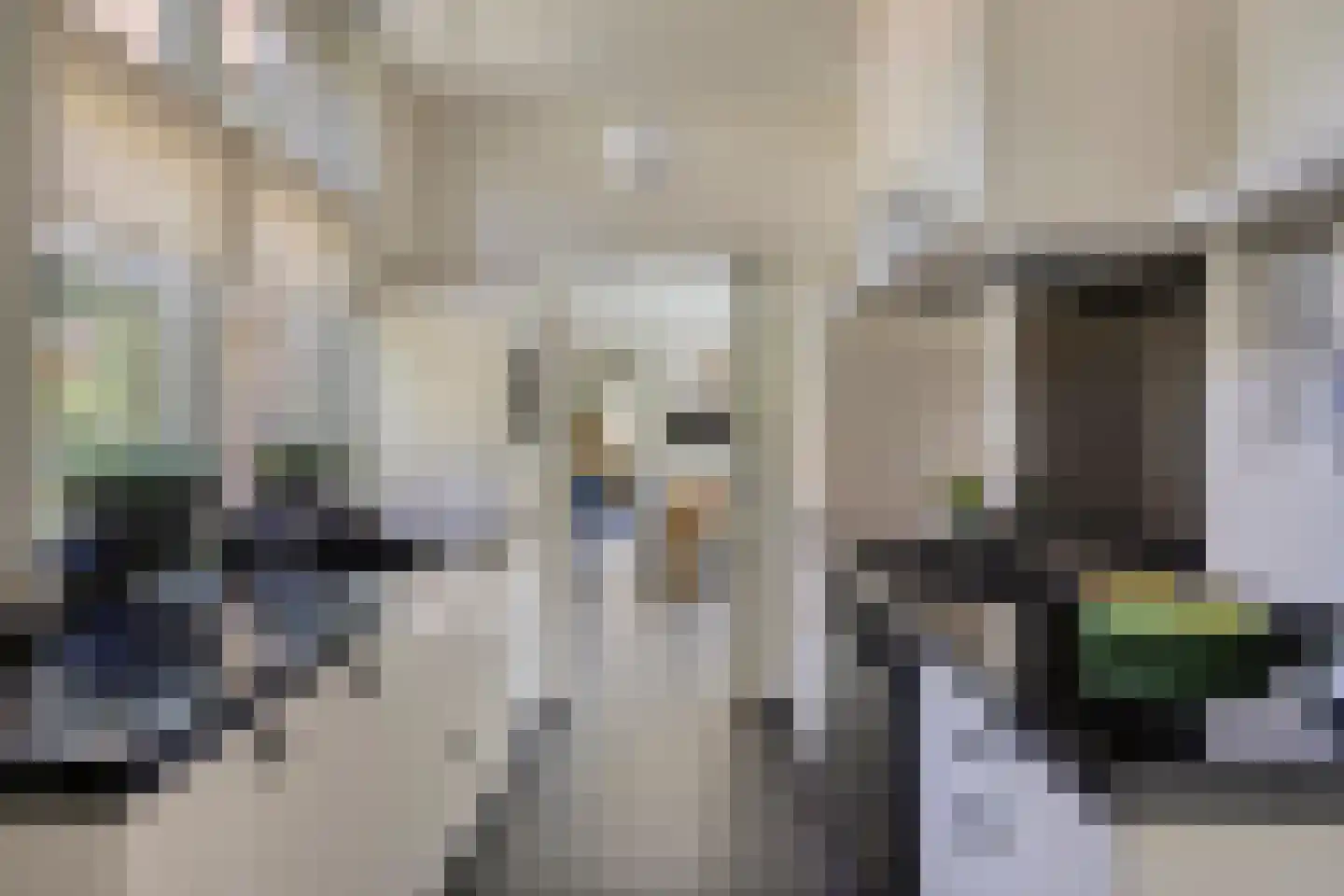 Kalverlaan 12 Rekken thumbnail 4