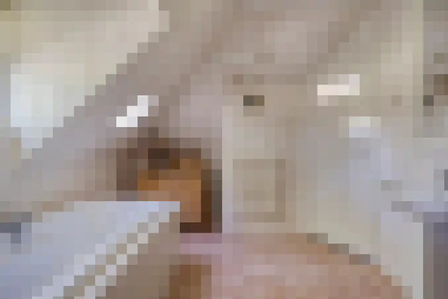 Kalverlaan 12 Rekken thumbnail 46