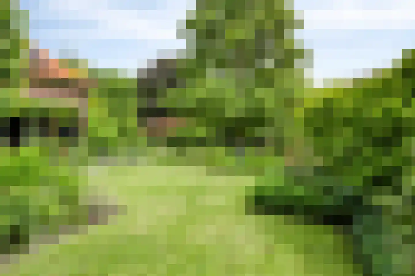 Kalverlaan 12 Rekken thumbnail 5