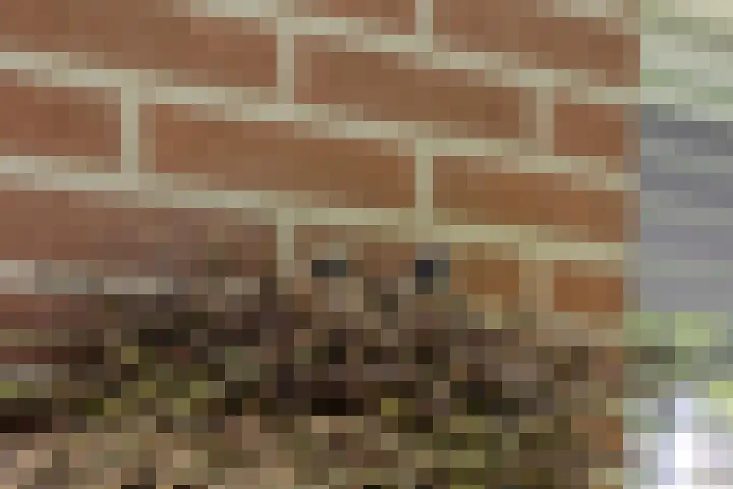 Kalverlaan 12 Rekken thumbnail 55