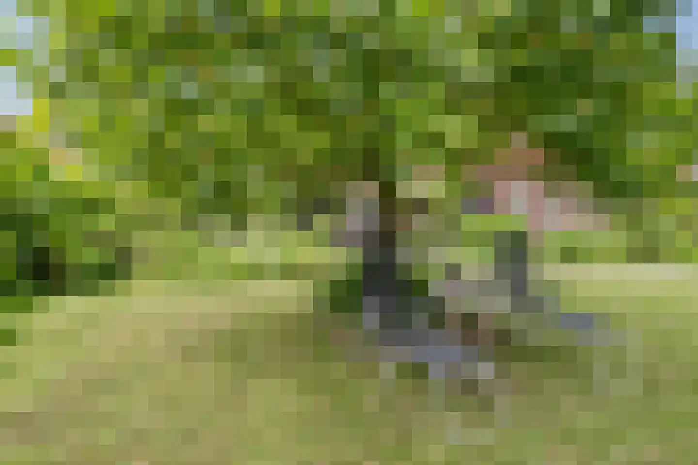 Kalverlaan 12 Rekken thumbnail 62