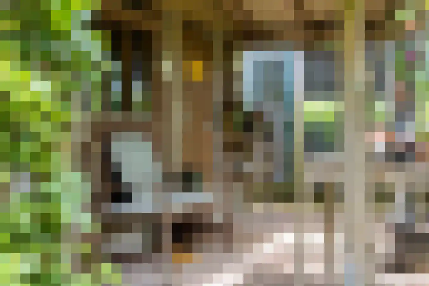 Kalverlaan 12 Rekken thumbnail 66
