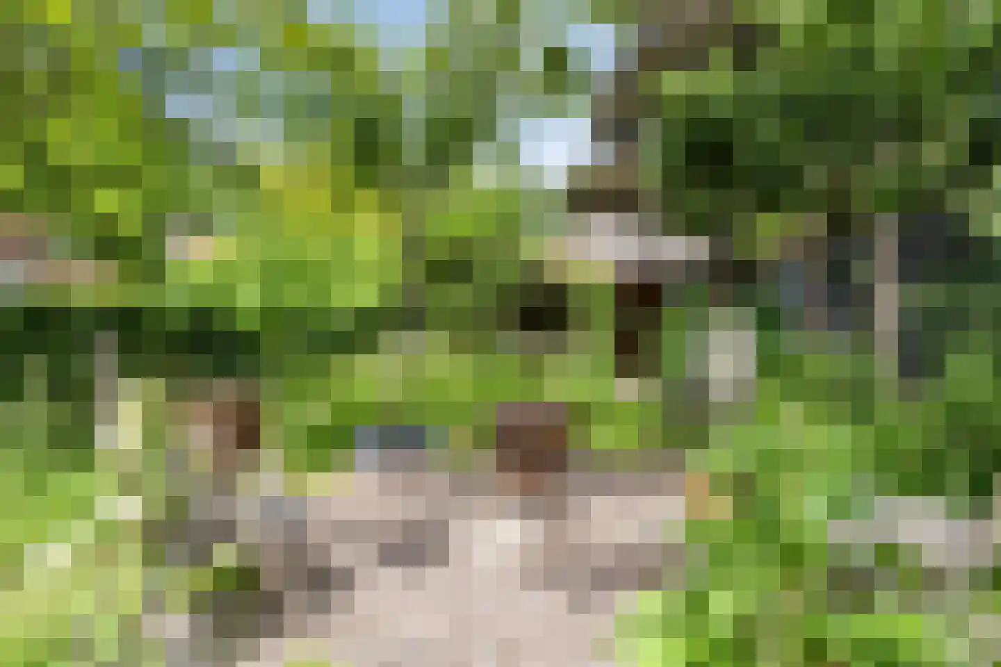 Kalverlaan 12 Rekken thumbnail 67