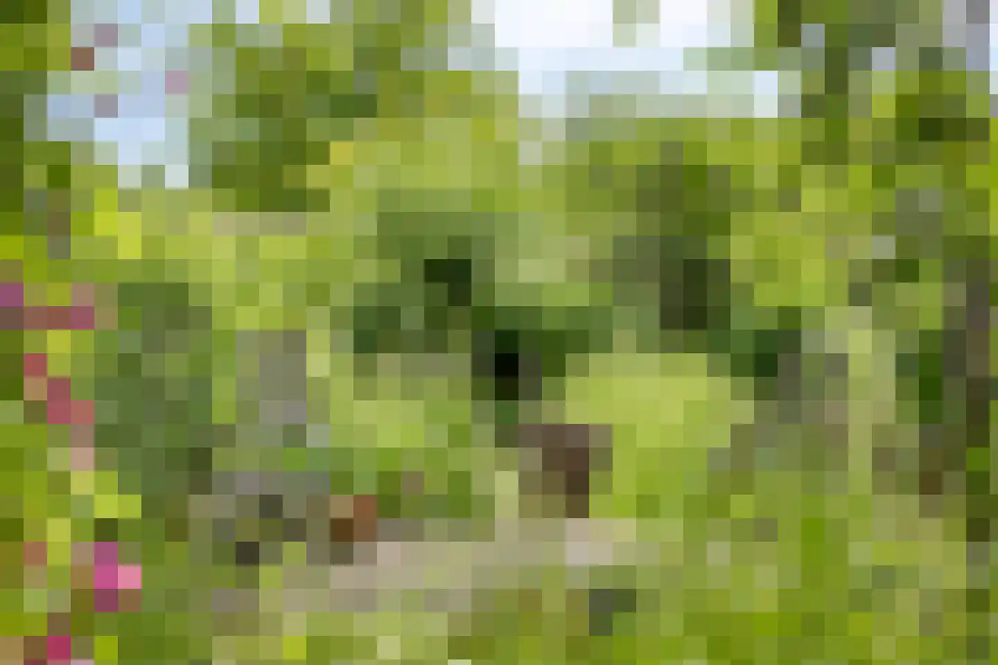 Kalverlaan 12 Rekken thumbnail 68