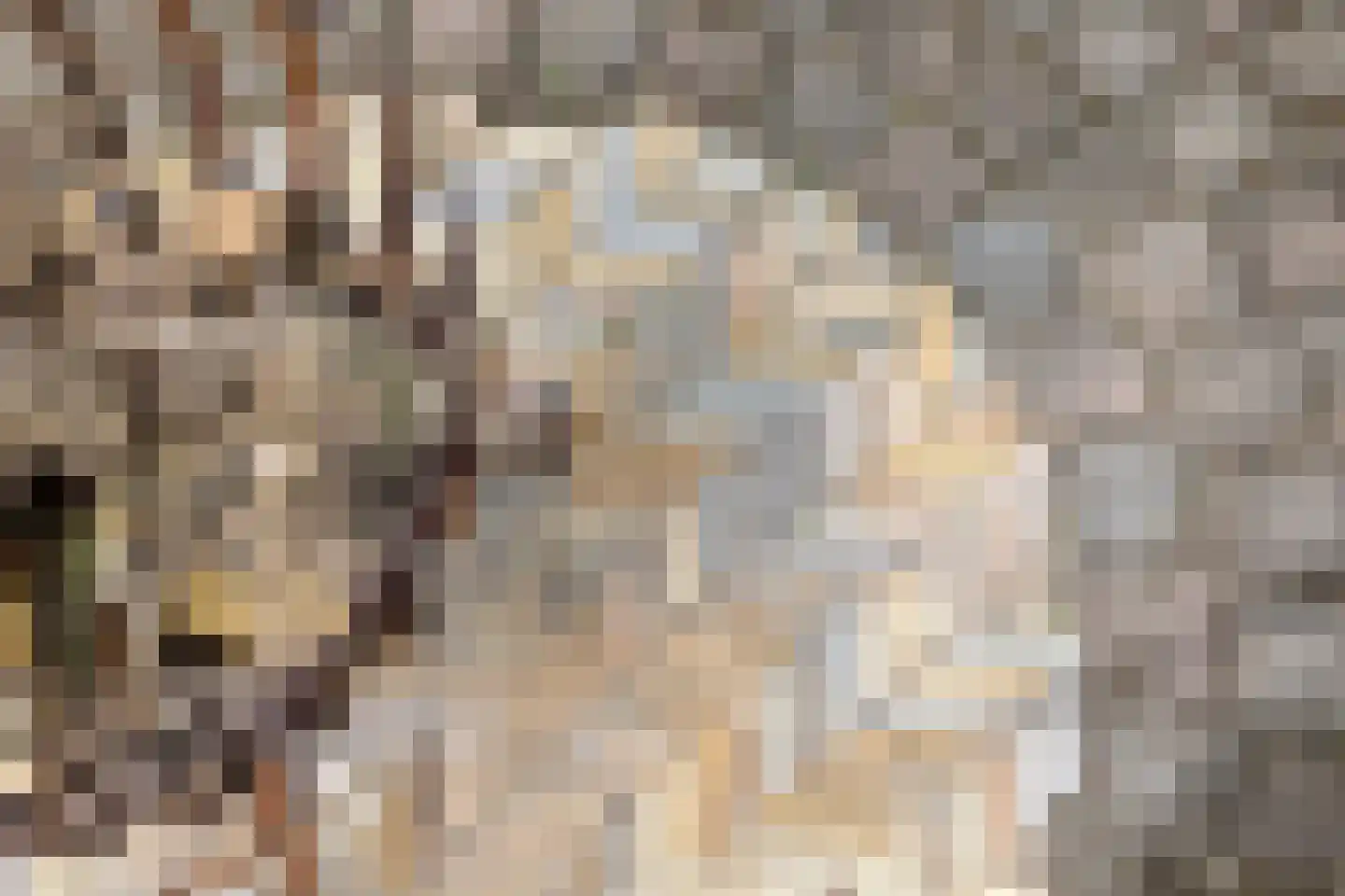 Kalverlaan 12 Rekken thumbnail 70