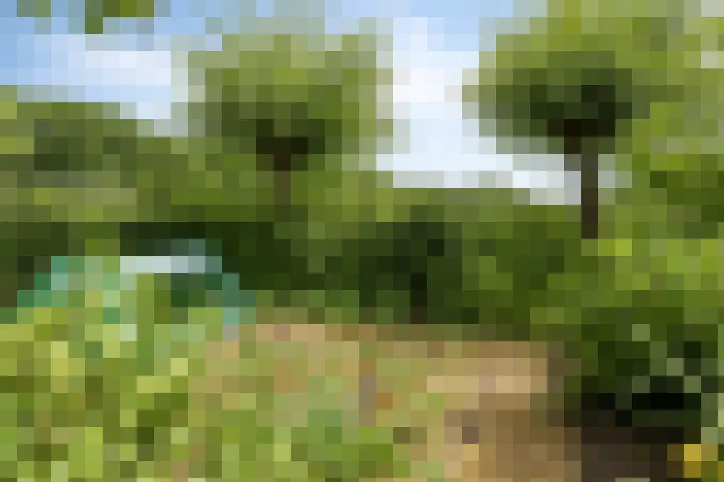 Kalverlaan 12 Rekken thumbnail 71