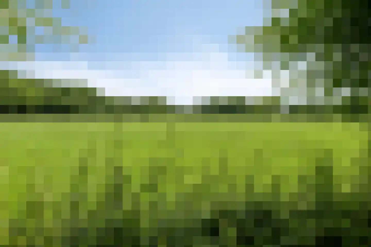 Kalverlaan 12 Rekken thumbnail 73