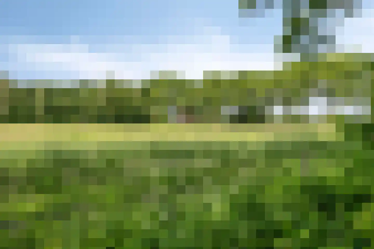 Kalverlaan 12 Rekken thumbnail 74