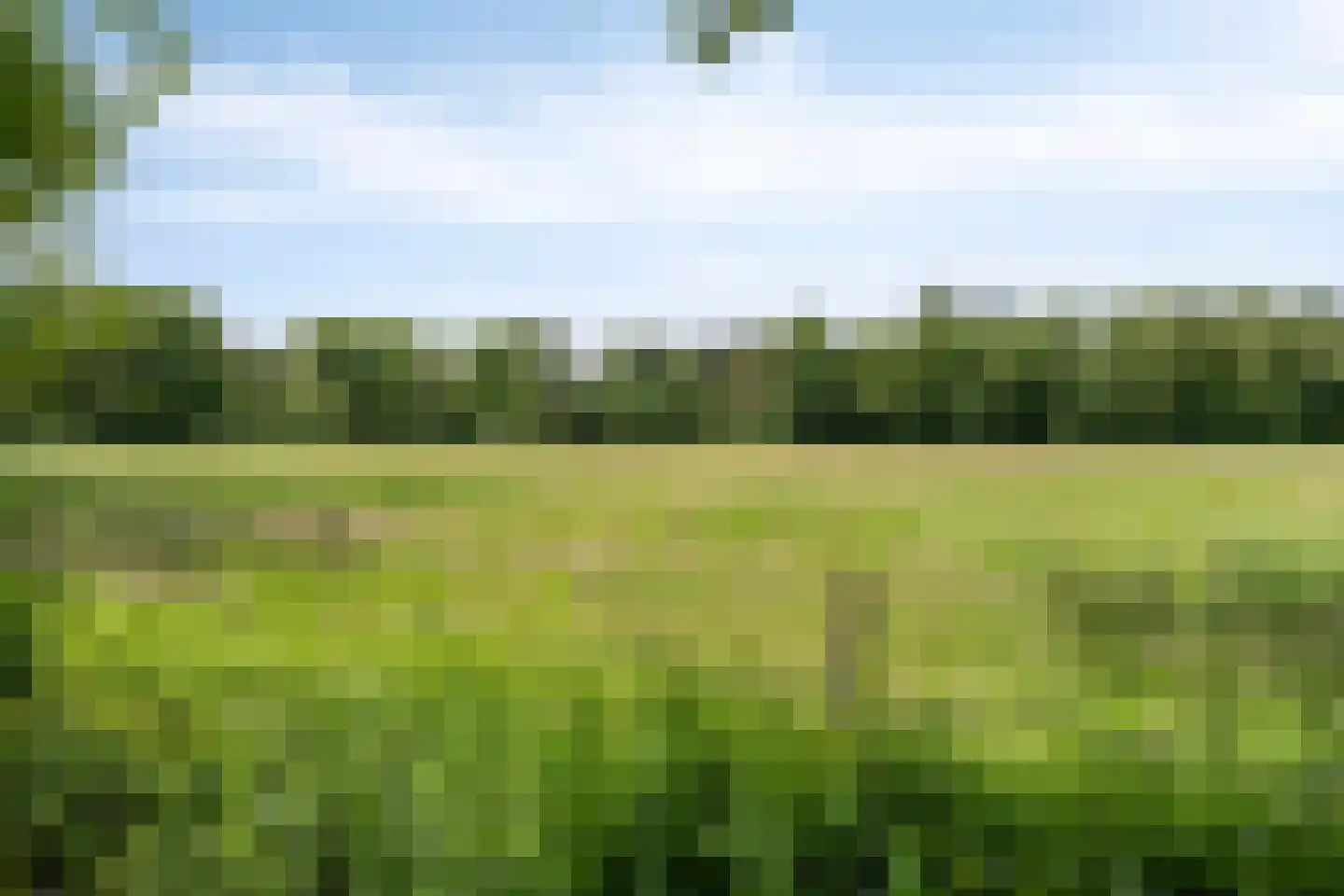 Kalverlaan 12 Rekken thumbnail 75