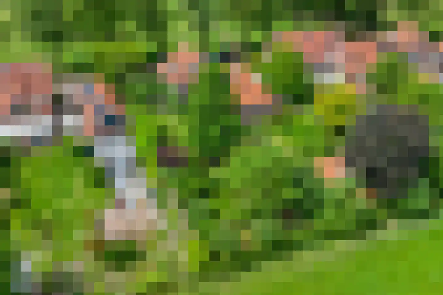 Kalverlaan 12 Rekken thumbnail 77
