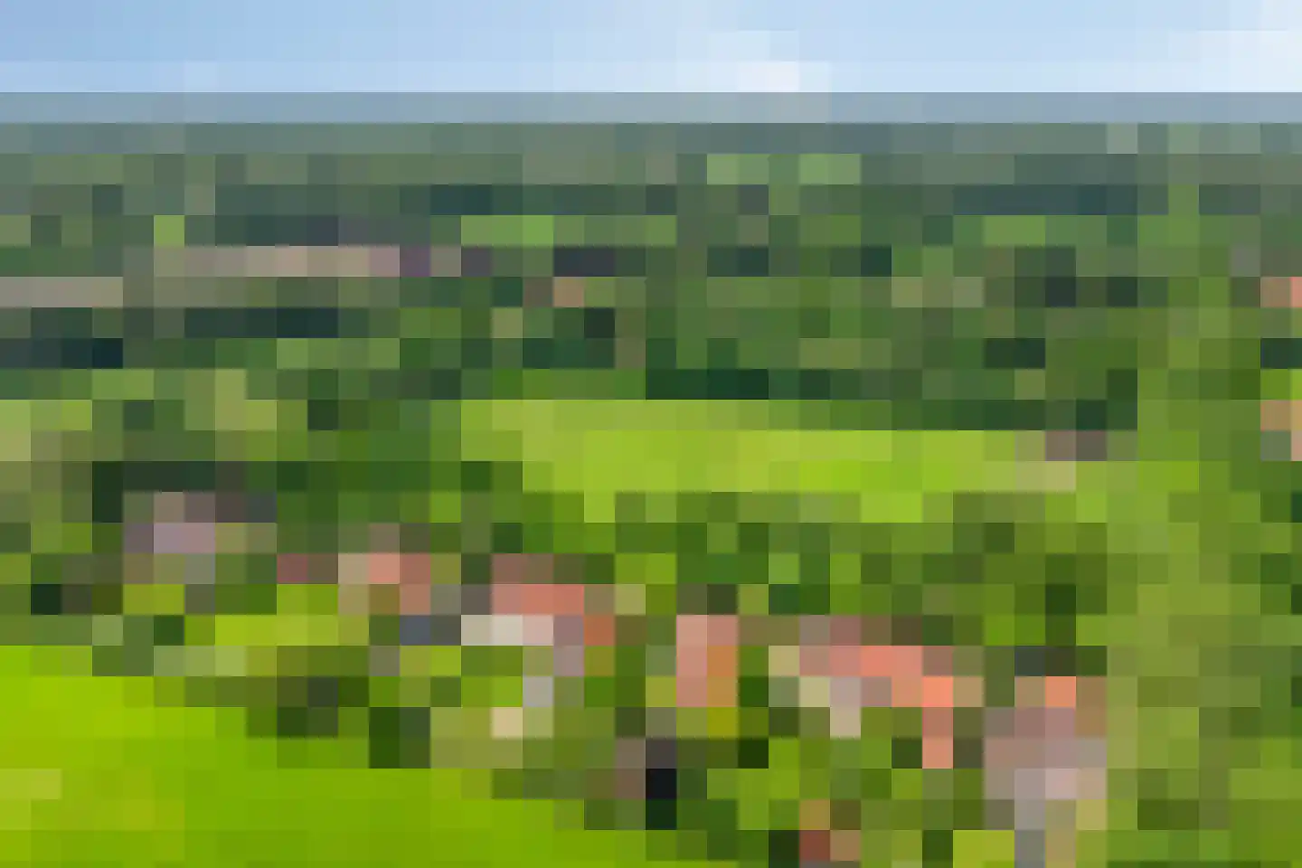 Kalverlaan 12 Rekken thumbnail 78