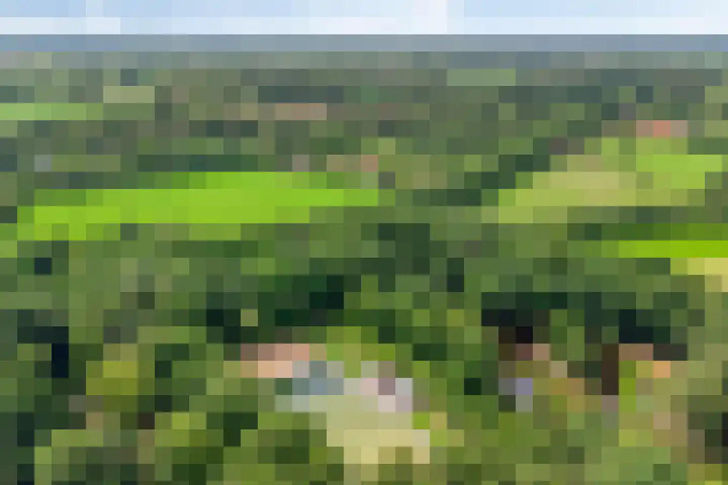 Kalverlaan 12 Rekken thumbnail 80