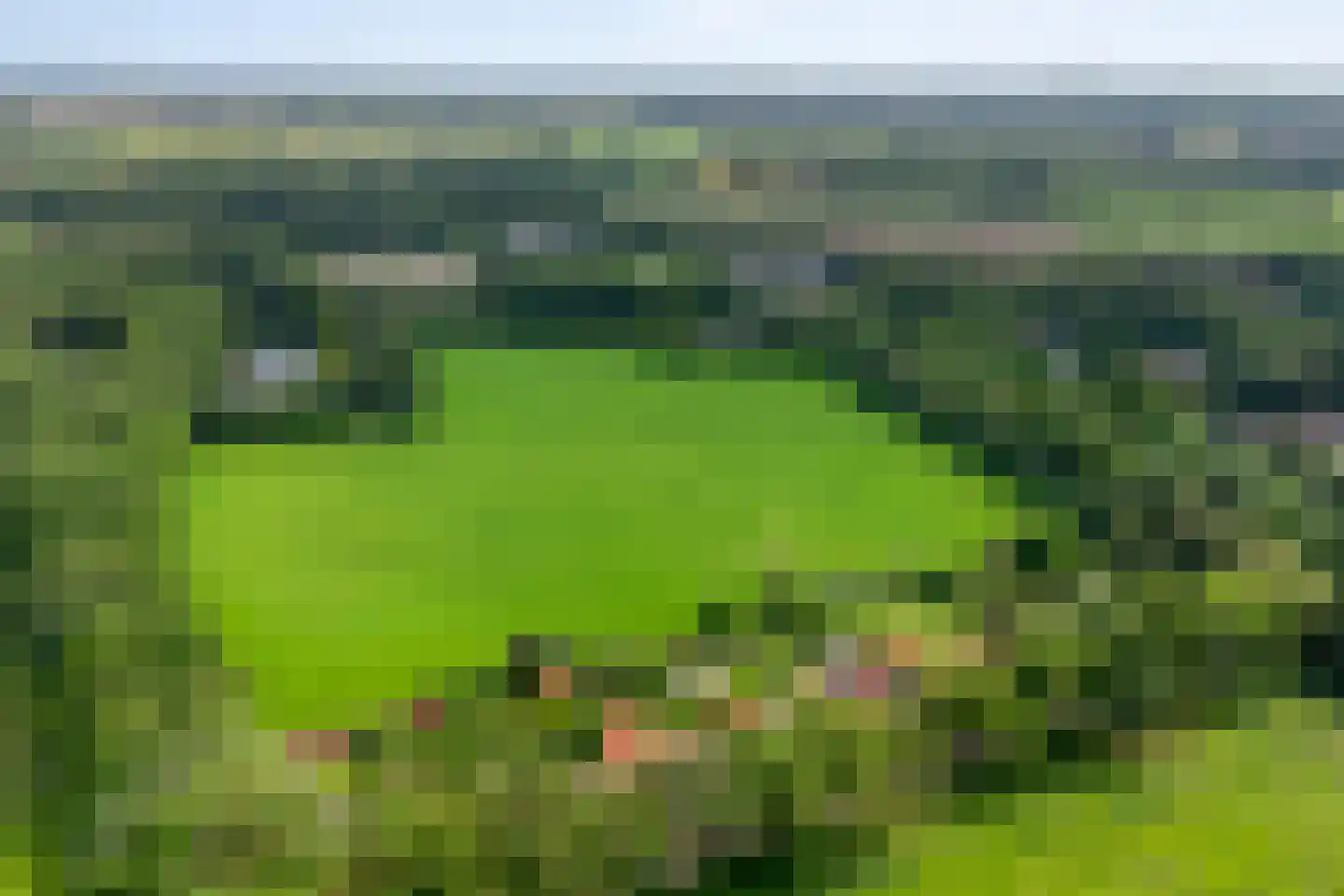 Kalverlaan 12 Rekken thumbnail 81