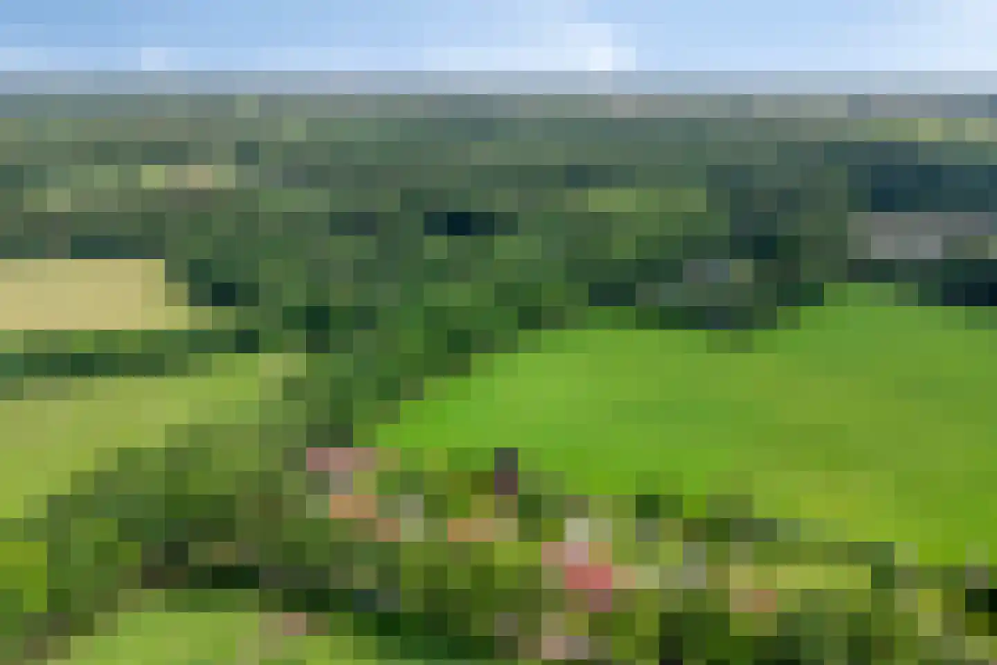 Kalverlaan 12 Rekken thumbnail 82