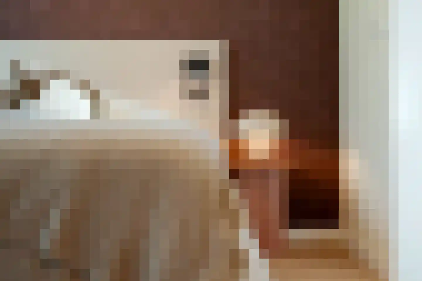 Kalverlandseweg 3 k136 Eck en Wiel thumbnail 9