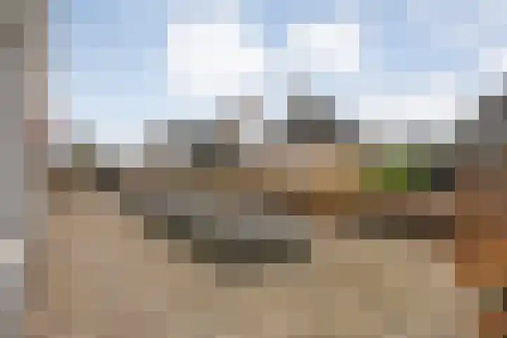 Kalvermaat 8 Ruinen thumbnail 11
