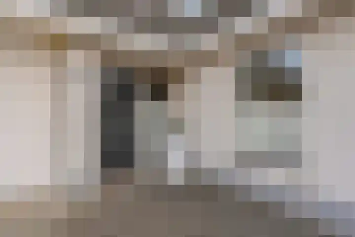 Kalvermaat 8 Ruinen thumbnail 12