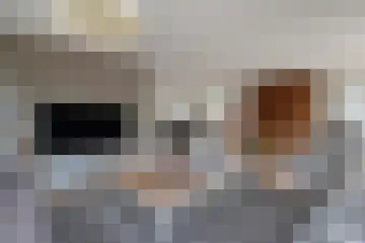 Kalvermaat 8 Ruinen thumbnail 14