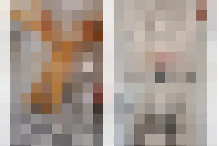 Kalvermaat 8 Ruinen thumbnail 15