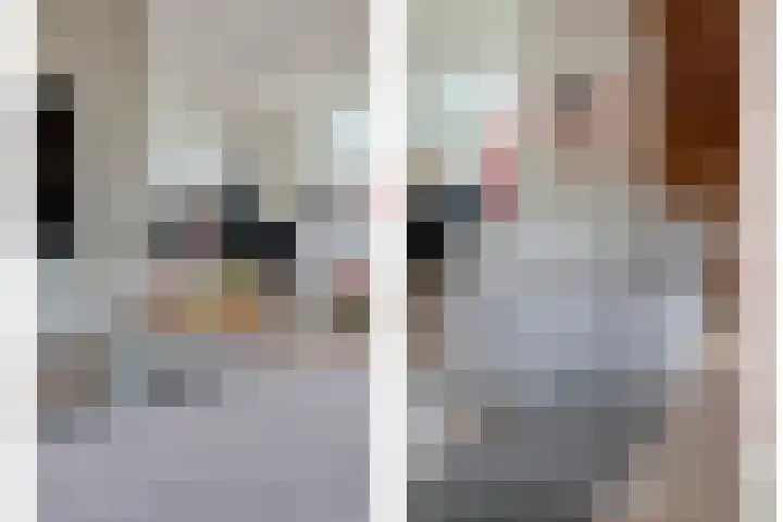 Kalvermaat 8 Ruinen thumbnail 19