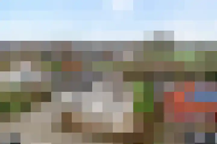 Kalvermaat 8 Ruinen foto 2
