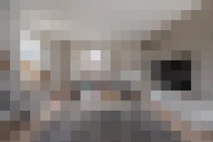 Kalvermaat 8 Ruinen thumbnail 21