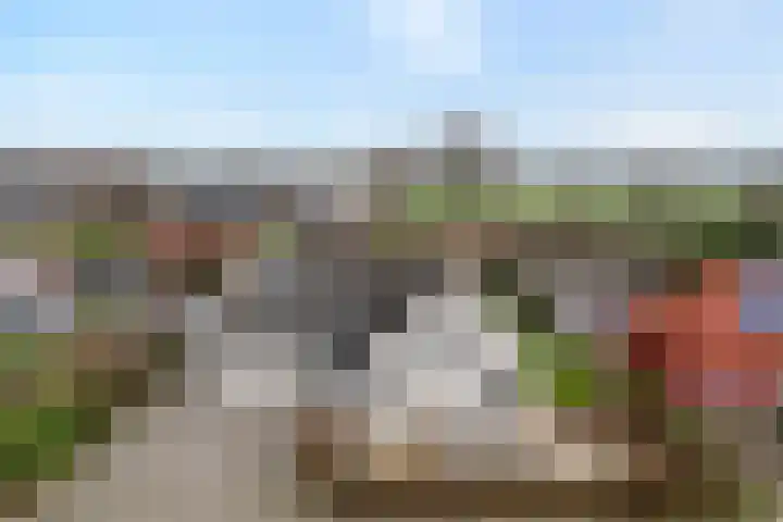 Kalvermaat 8 Ruinen foto 3