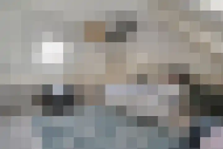 Kalvermaat 8 Ruinen thumbnail 34