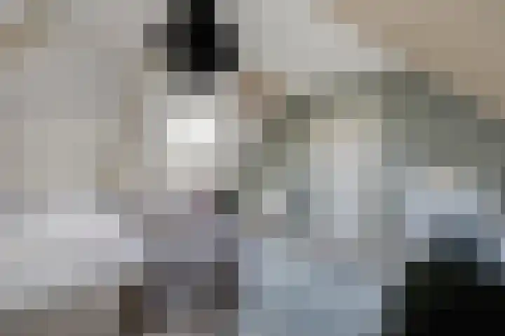 Kalvermaat 8 Ruinen thumbnail 35