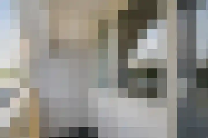 Kalvermaat 8 Ruinen thumbnail 39