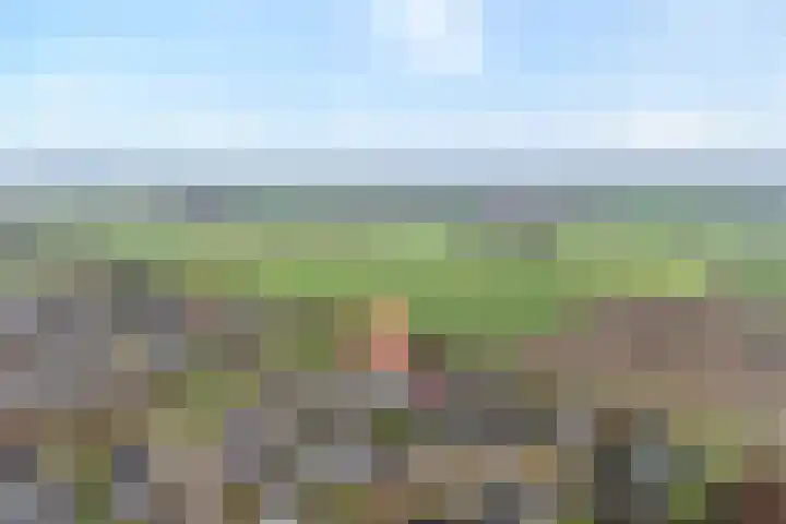 Kalvermaat 8 Ruinen thumbnail 4