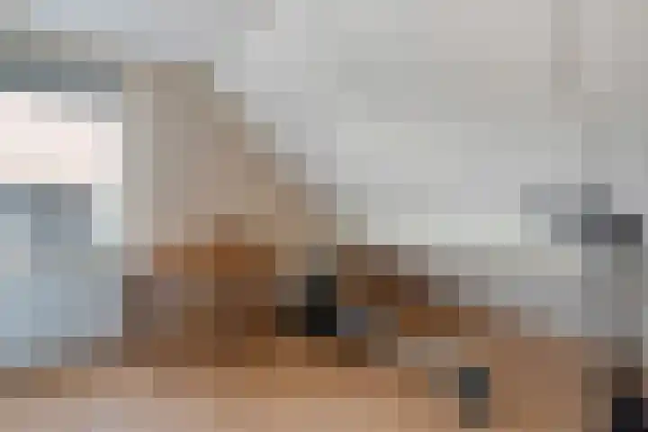 Kalvermaat 8 Ruinen thumbnail 40