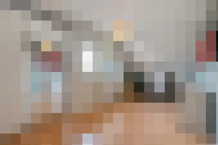 Kalvermaat 8 Ruinen thumbnail 42