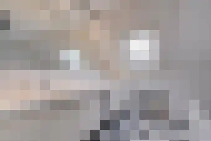 Kalvermaat 8 Ruinen thumbnail 44