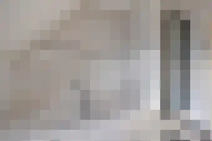 Kalvermaat 8 Ruinen thumbnail 45