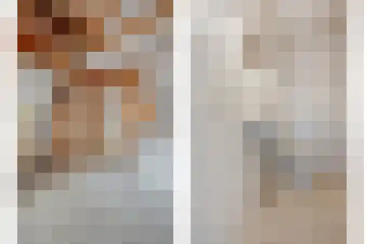 Kalvermaat 8 Ruinen thumbnail 49