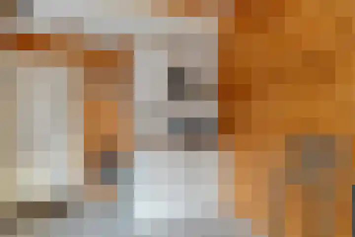 Kalvermaat 8 Ruinen thumbnail 50