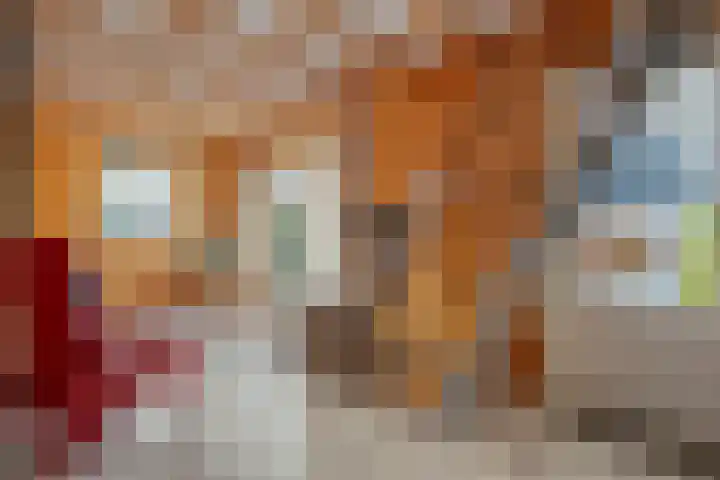 Kalvermaat 8 Ruinen thumbnail 51