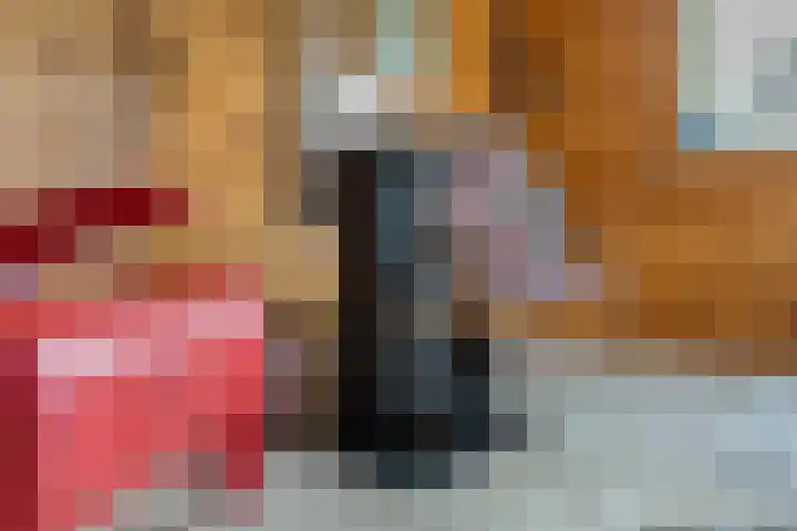 Kalvermaat 8 Ruinen thumbnail 53