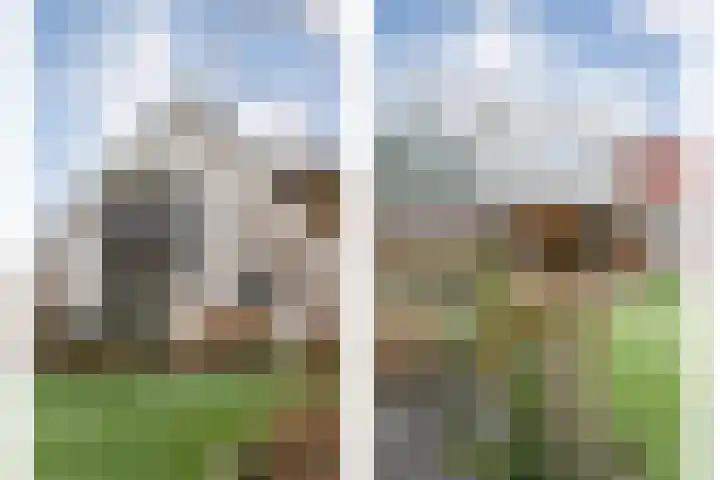 Kalvermaat 8 Ruinen thumbnail 56