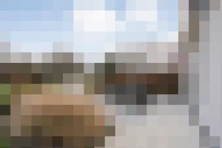 Kalvermaat 8 Ruinen thumbnail 57