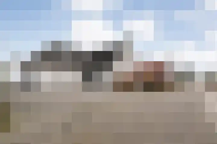 Kalvermaat 8 Ruinen thumbnail 6
