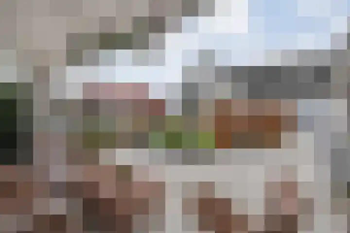 Kalvermaat 8 Ruinen thumbnail 60