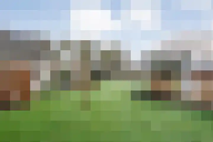 Kalvermaat 8 Ruinen thumbnail 61