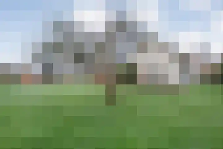 Kalvermaat 8 Ruinen thumbnail 62