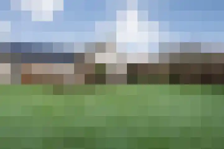 Kalvermaat 8 Ruinen thumbnail 63