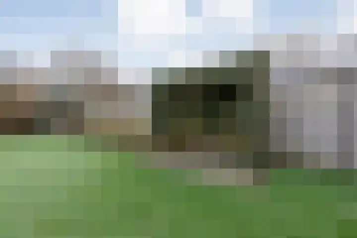 Kalvermaat 8 Ruinen thumbnail 64