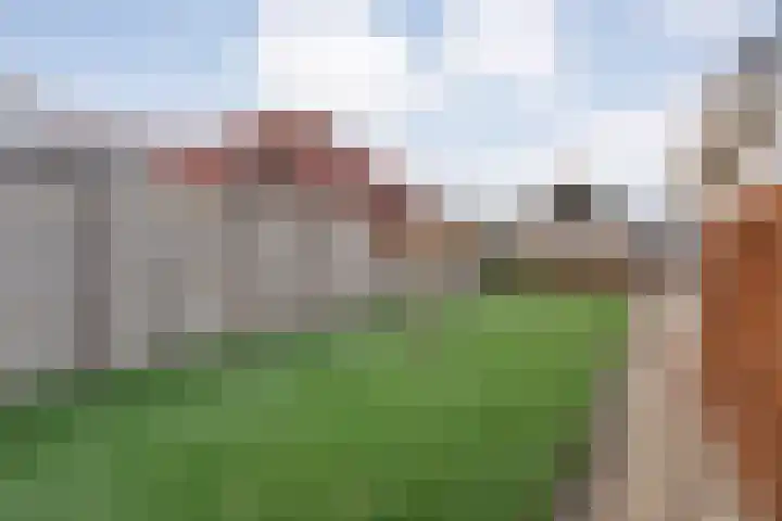 Kalvermaat 8 Ruinen thumbnail 65