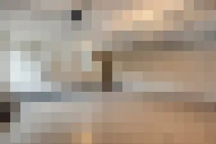 Kalvermaat 8 Ruinen thumbnail 68